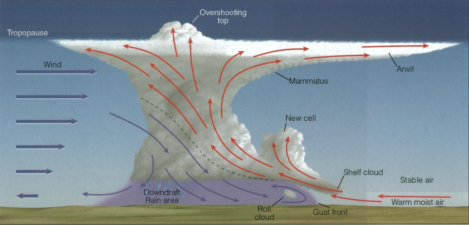 What causes a tornado to form?