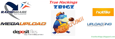 Zbigz Premium Account 2013 april - may truehackings