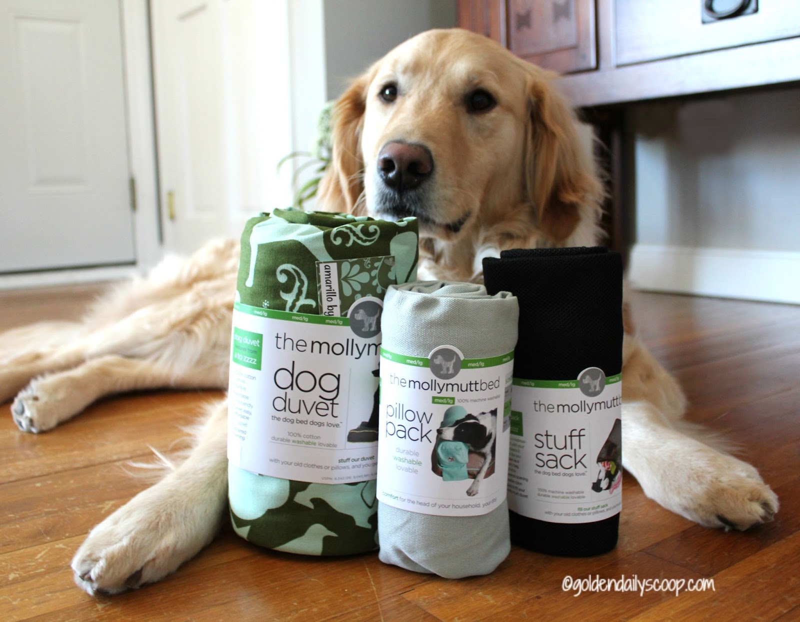 How To Upcycle Your Old Things Into A New Dog Bed Golden Daily Scoop