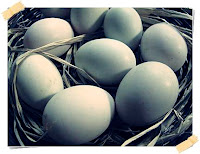 manfaat telur bebek