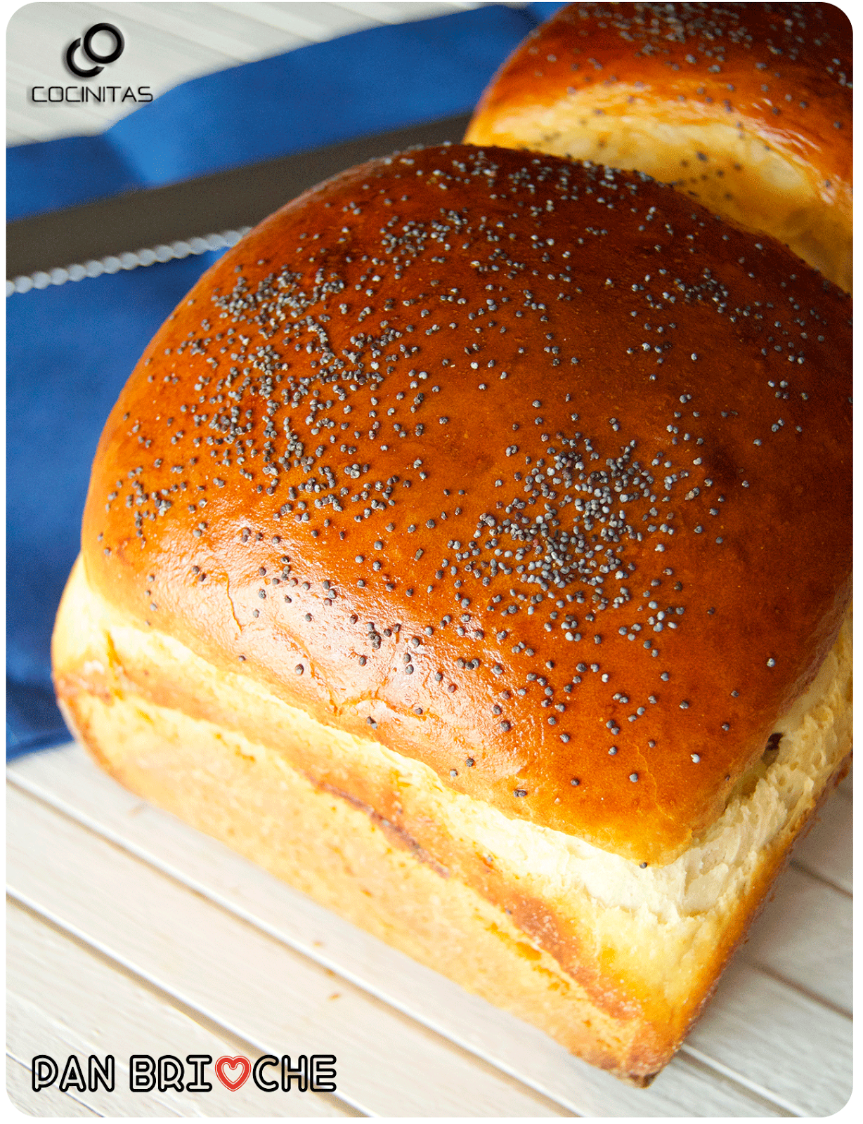 Pan Brioche AnaCocinitas Recetas de cocina fáciles, rápidas y