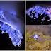 Blue Lava Flows From Kawah Ijen (Video)