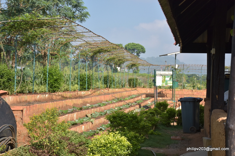 Images of Sri Lanka on blogspot.com: At the Agricultural ...