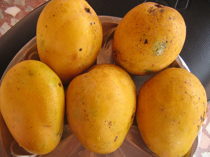 Mango (Mangifera indica) Prirodni lijekovi za sve bolesti ! All Natural Herbal Remedies and