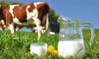 Cara Menggemukan Badan Yang Cepat, Mudah dan Aman Cara Menggemukan Badan Yang Cepat, Mudah dan Aman