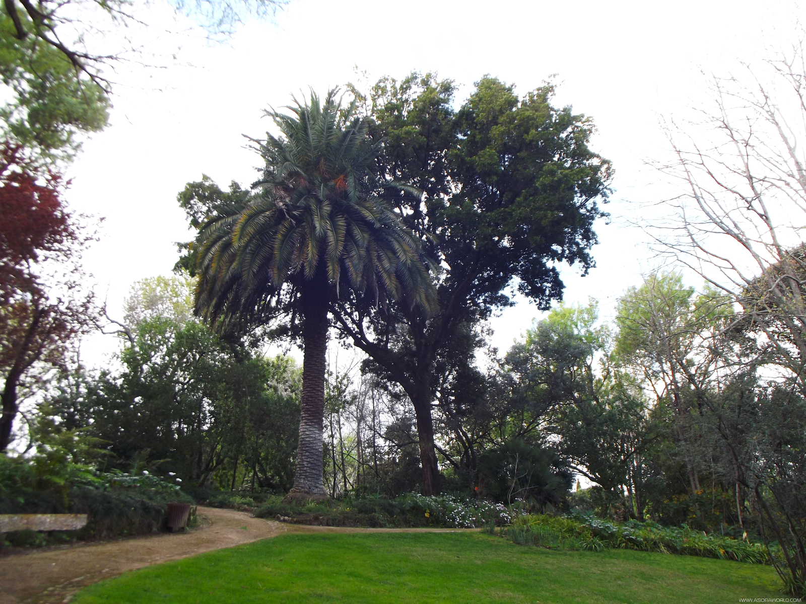 Parque Botânico do Monteiro-Mor, Lumiar, Lisboa Parque Botânico do Monteiro-Mor, Lumiar, Lisboa