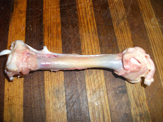 Walls Bio 156 Human Biology: Lab 5 Chicken Leg Dissection