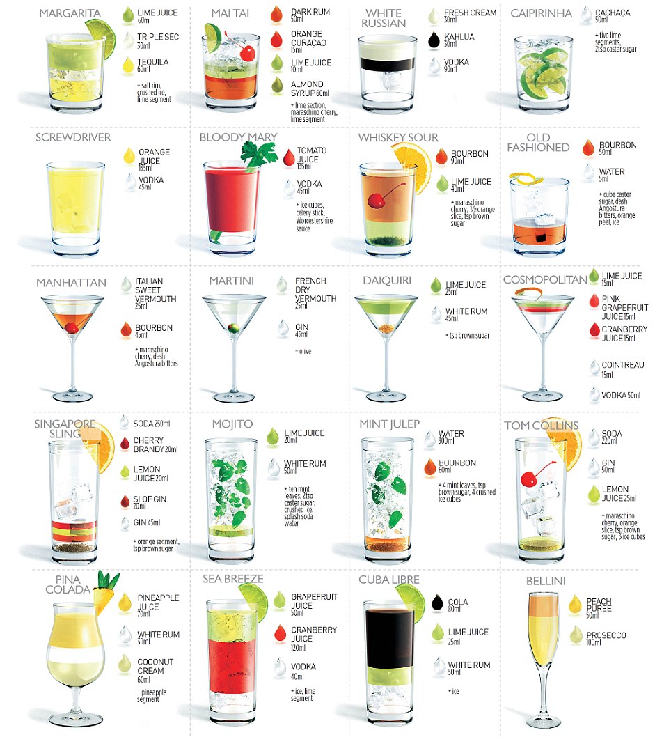 Double Strainger 20 Classic Cocktails