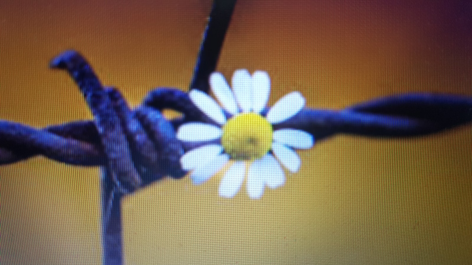 Die Schwalbe Marz 2018