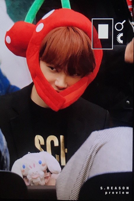 인간체리인지 카드캡터체리인지 체리로 박제된 아이돌 | 인스티즈