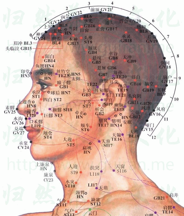 耳門穴位 | 耳門穴痛位置 - 穴道按摩經絡圖解 | Source:zhentuiyixue.com