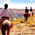 Some of The Best Place to Experience Jungle Safari on Horseback