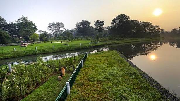 Interesting Green: Springleaf Nature Park: First of four new parks near ...