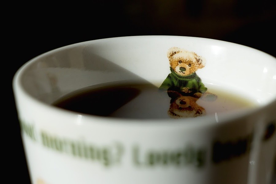 Urso e xícara Urso e xícara