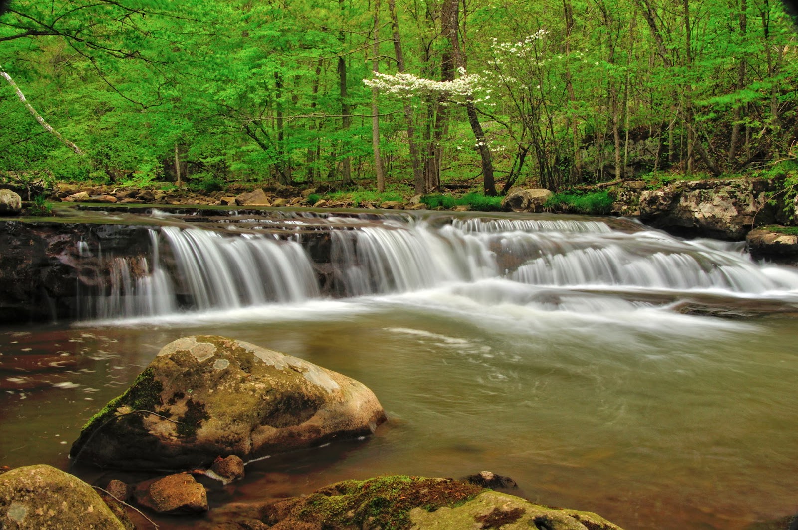 Discover West Virginia Meadow Creek Falls Hiding in Plain Sight