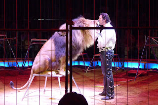 Circus Krone, domador de leones.