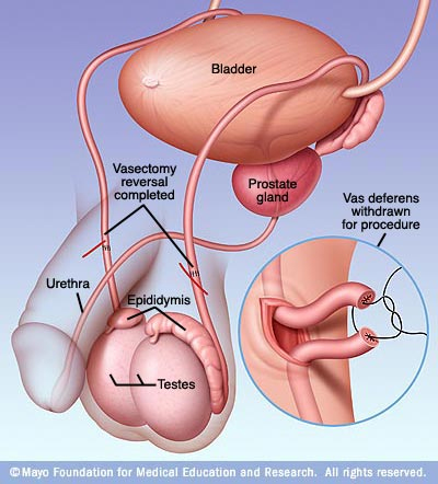 Pesan Kak Eaisyah Jaga Telur Baik Baik Guys