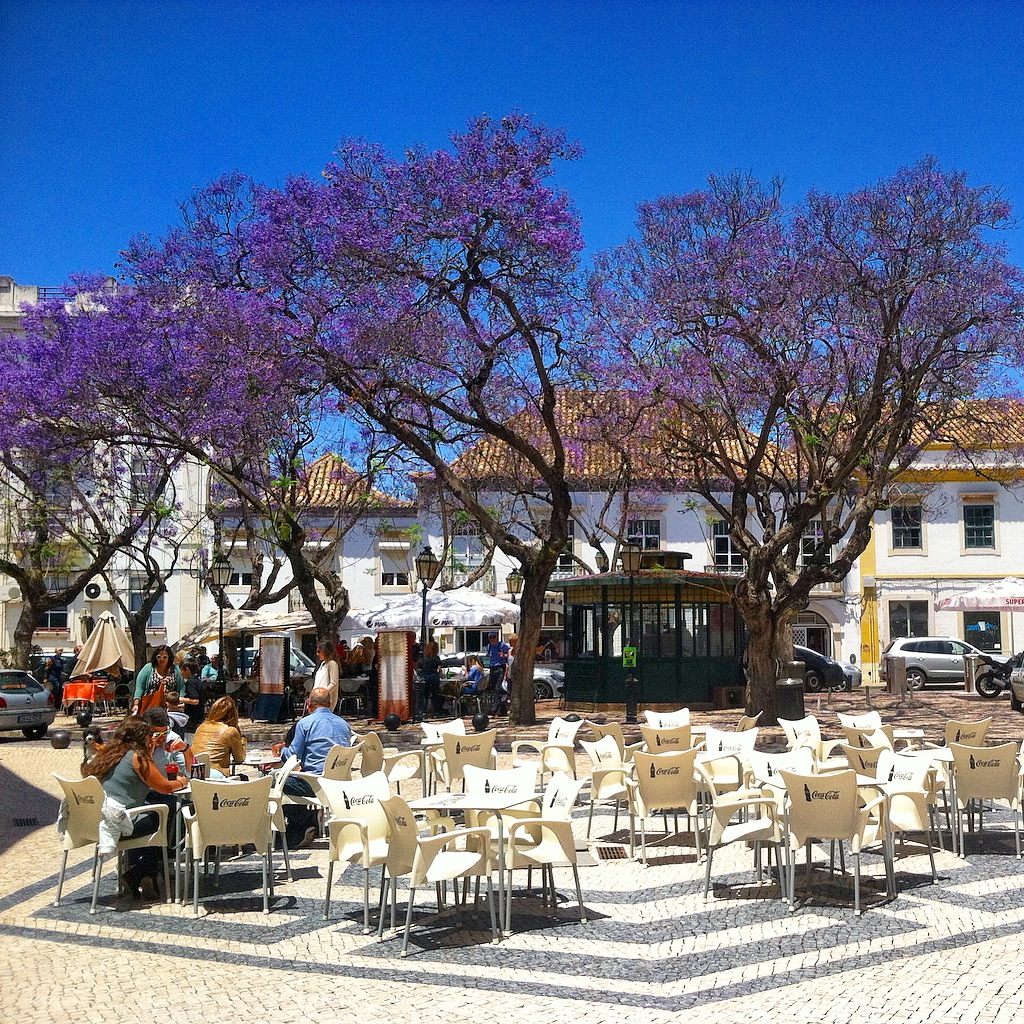 WHAT UP, SWAGS?! Photos of Faro, Portugal