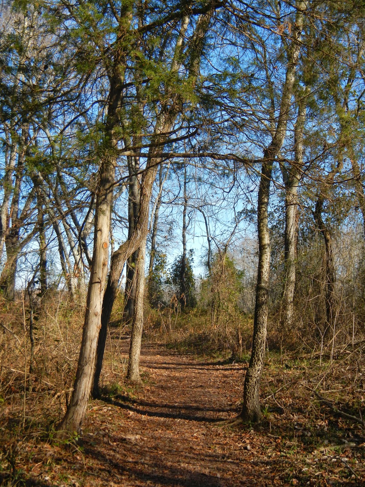 Oh To Be Hiking! Powhatan State Park Trails