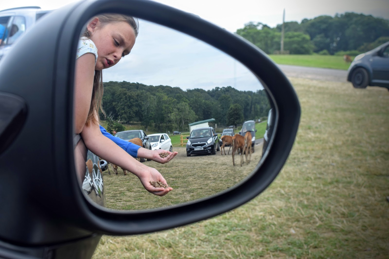 , Review:  A Family Day Out at Longleat Safari Park