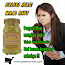 Obat Herbal Penyakit Lambung Maag Kronis