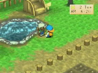 Harvest Moon Back To Nature