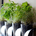 Indoor Herb Garden IKEA Hack