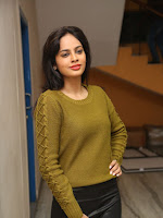 Nandita swetha photos from Janaki Ramudu audio-cover-photo