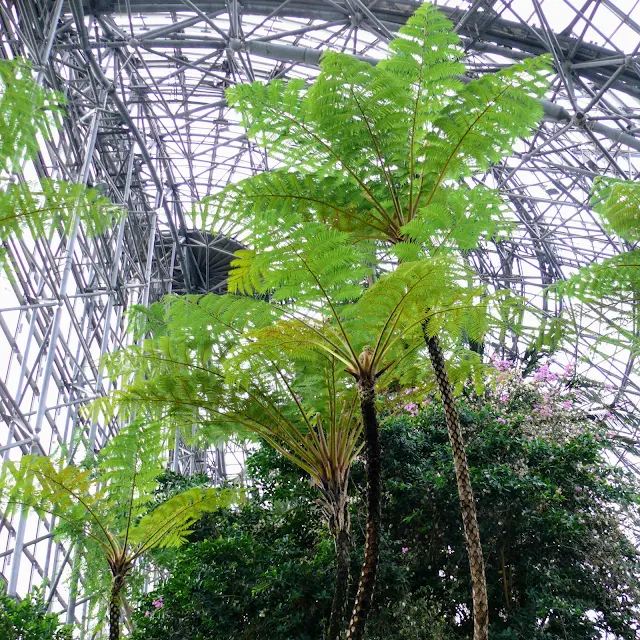 夢の島　熱帯植物館
