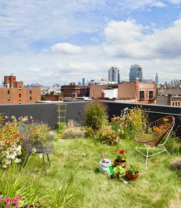 Terrace garden – beautiful design ideas!