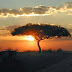 How to Pack For Your Safari Holiday