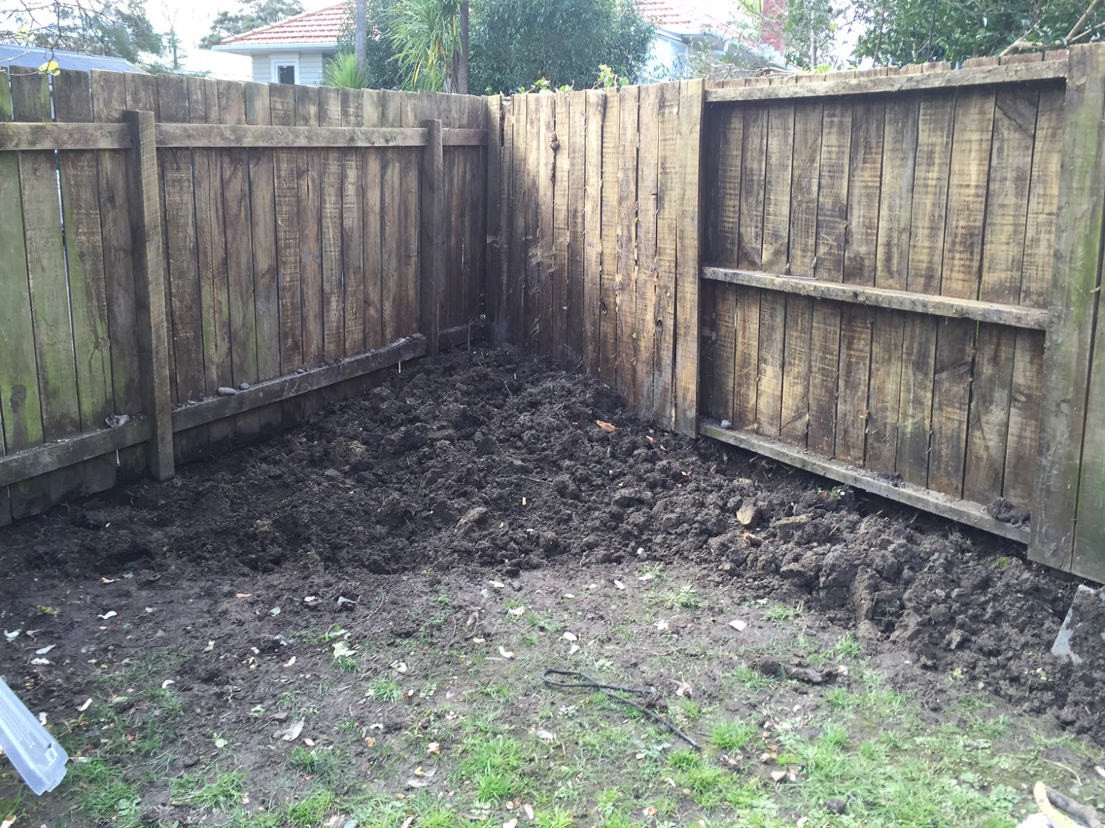Craving Fresh A messy corner transformed with fruit trees Craving Fresh A messy corner transformed with fruit trees