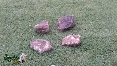 Pedras ornamentais, tipo pedra moledo bege escuro, sendo pedra tipo chapa com tamanho variado de 20 x 20 cm e espessura de 10 a 15 cm.