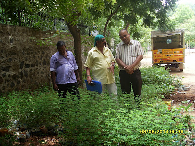 Pasumainayagan  Organic Farming வீட்டு தோட்டம்