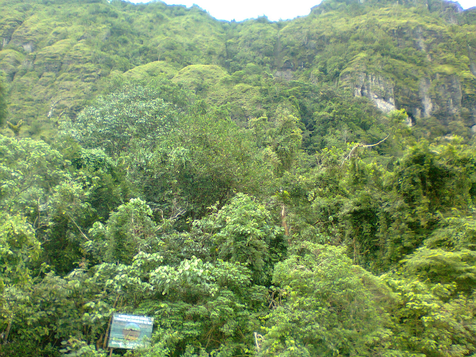 Konsep 37+ Cerita Tentang Pemandangan