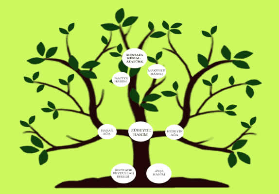 Soy ağacı Soy ağacı