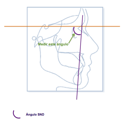 Estomatología I (Teoría): mayo 2014
