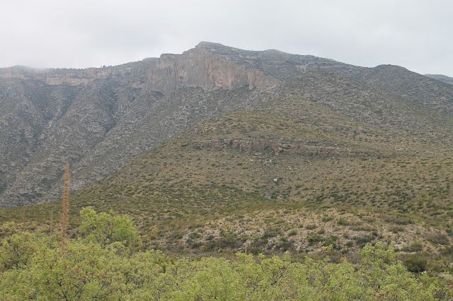 Guadalupe Mountains National Park Texas New Mexico McKittrick Canyon Queen Plateau Permian reef trail hiking fossils desert canyon copyright RocDocTravel.com
