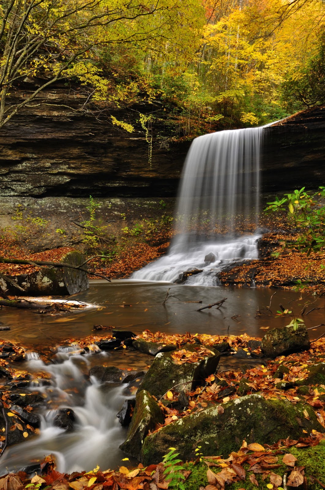 Discover West Virginia Ramsey Branch Falls a Hidden Gem