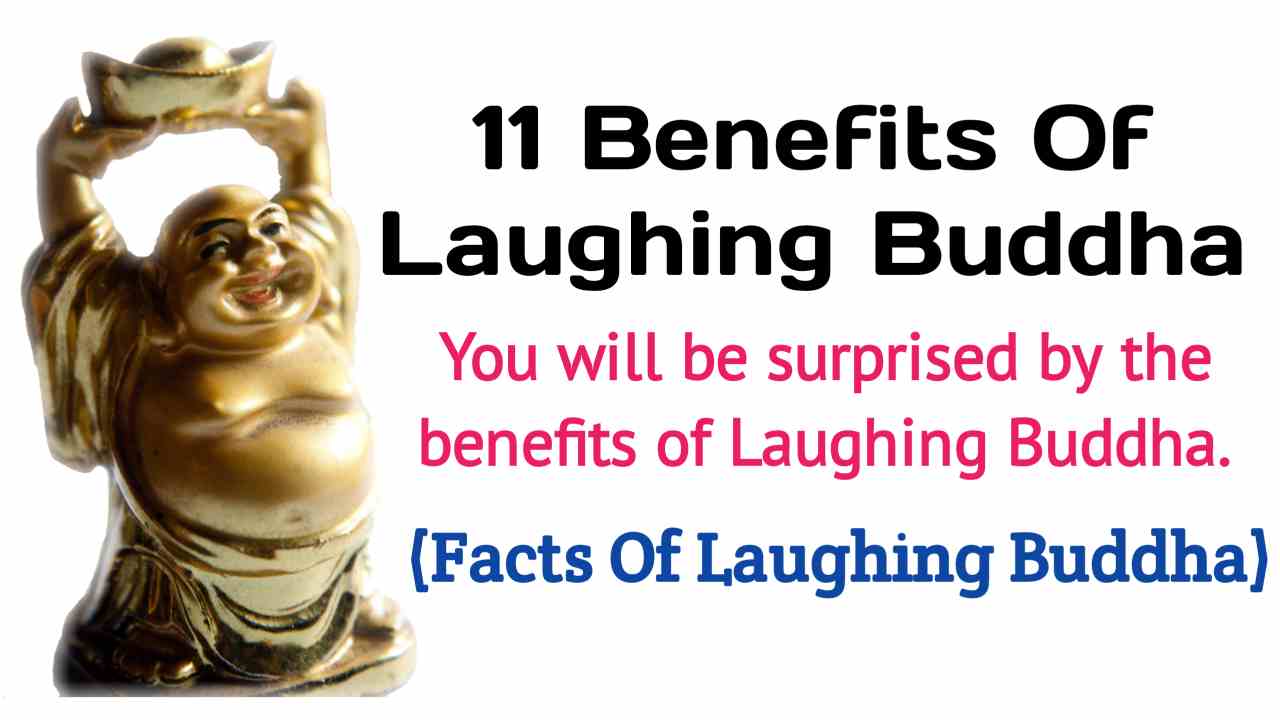 11 Benefits Of Laughing Buddha Healthy Tips Health And Technology