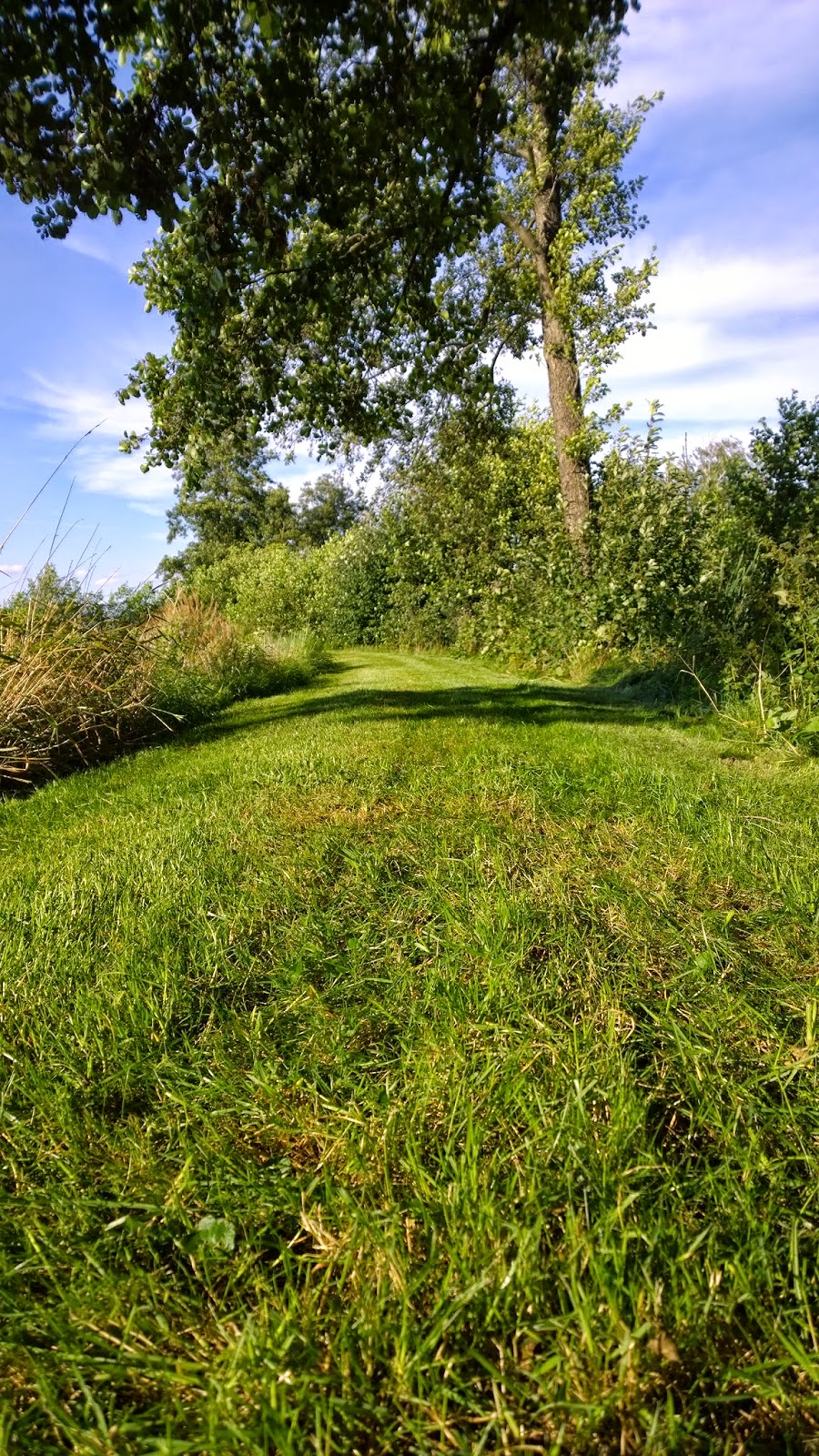 Https Pdfdokument Com Download Auf Entdeckungsreise Zu Den Schatzen Der Eifel Inhalt 59f55ab31723dd9458293942 Html