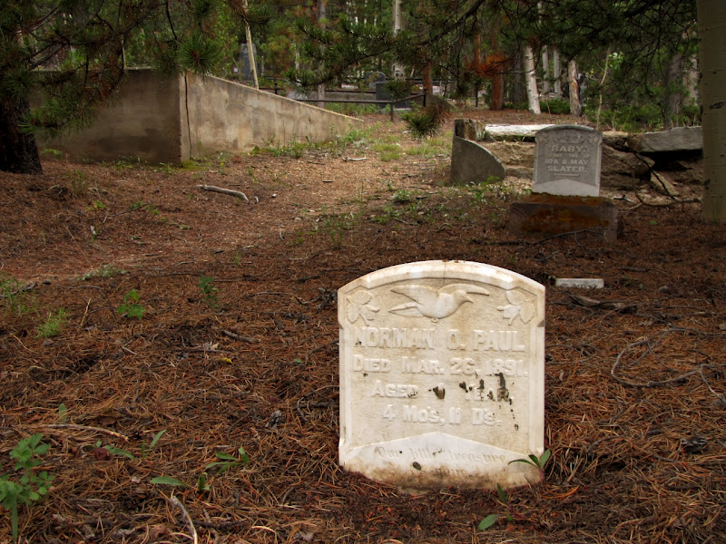 graveyard bald mountain cemetery . nevadaville co