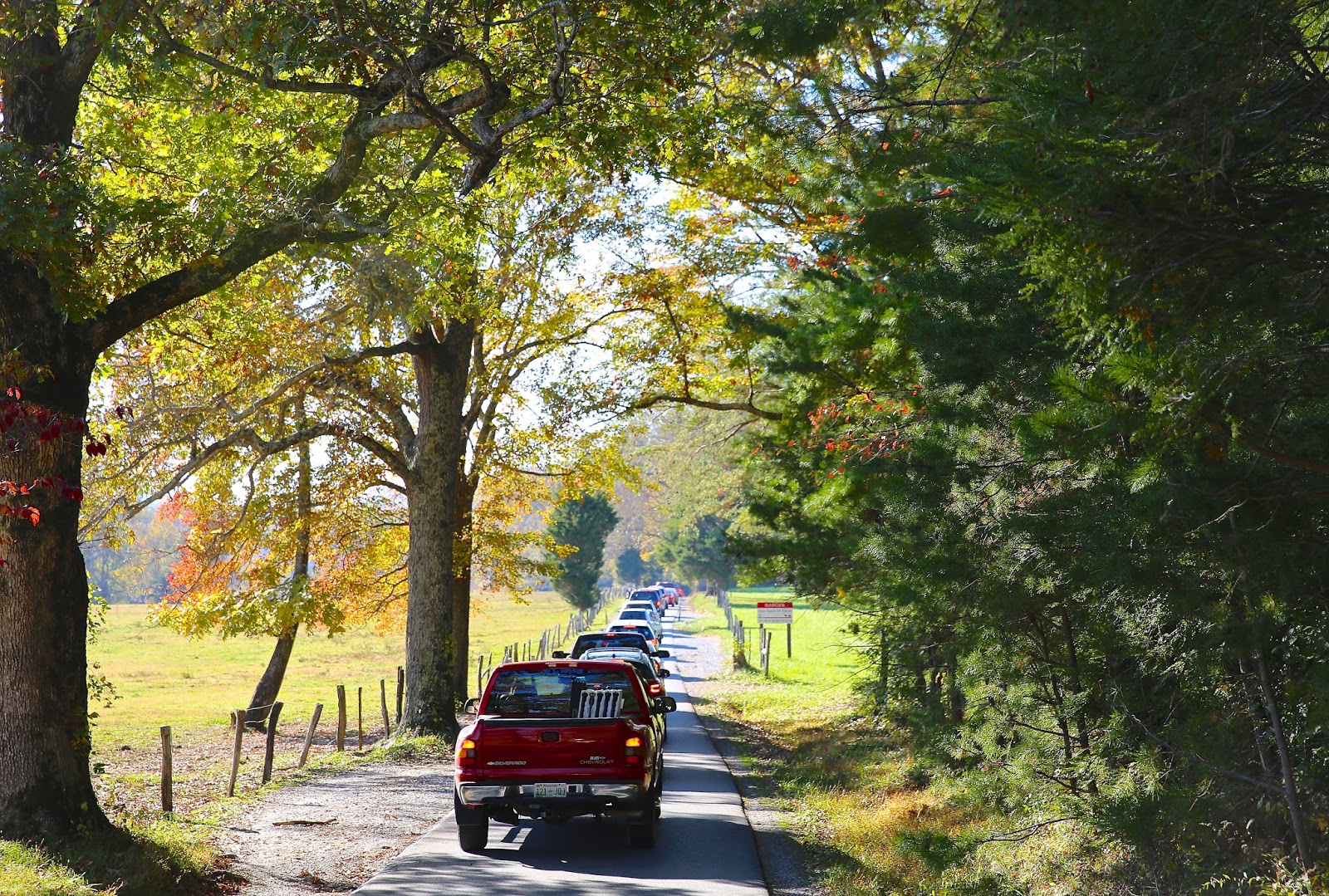 Sweet Southern Days Parson Branch Road In The Great Smoky Mountains