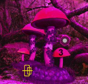 Games2Rule Midnight Purple Forest Secrets