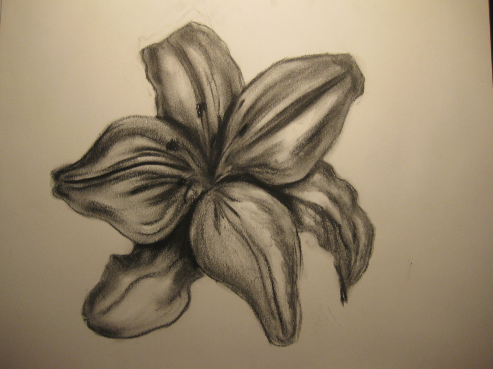 Drawings & Ideas Charcoal Erase Charcoal