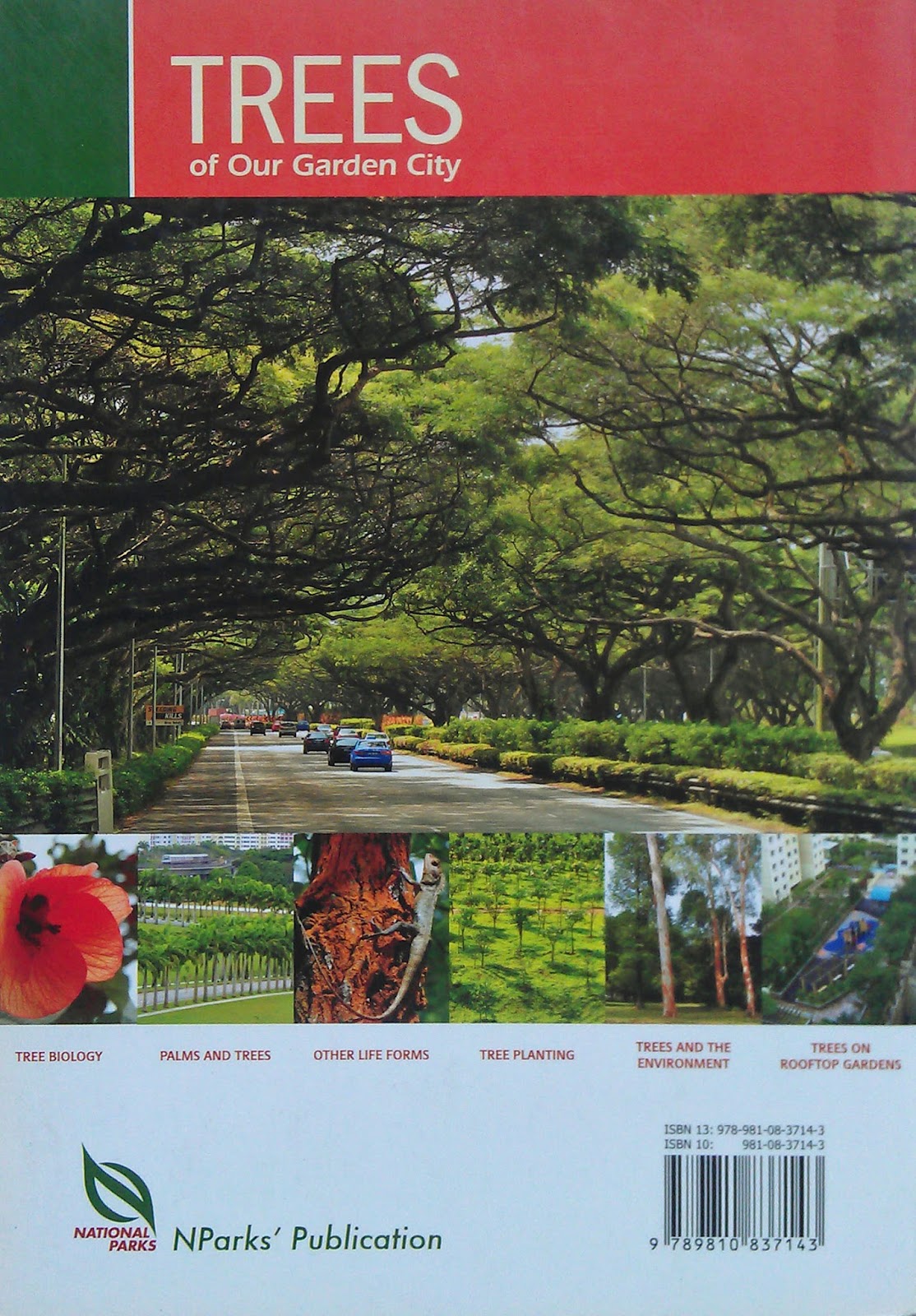 Openplants Trees of Our Garden City A Guide to the Common Trees of Singapore