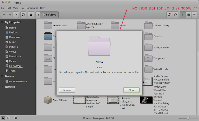 Linux Mint Title Bar is Missing – Linux Mint 17.3 Rosa
