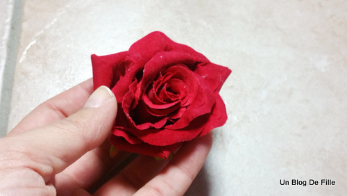 Un Blog De Fille Diy Rose Sous Cloche La Belle Et La Bete
