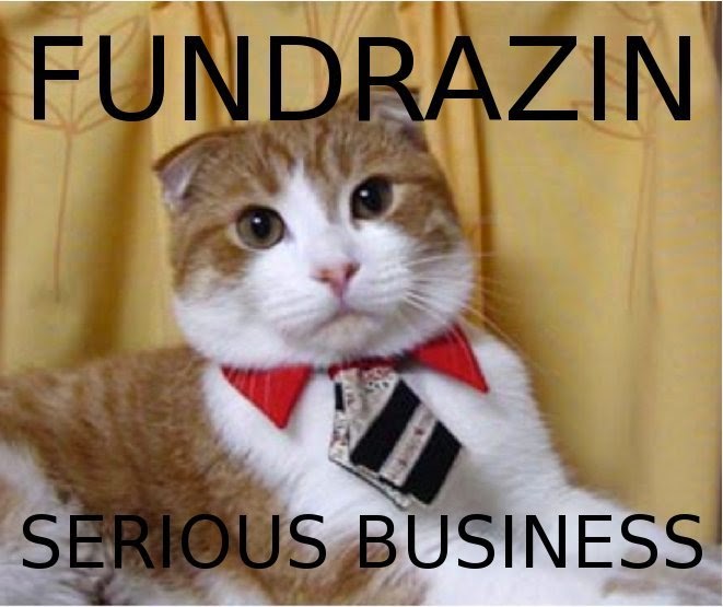 fundraiser-cat.jpg