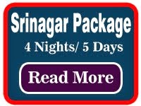 4Nights 5Days Srinagar Tour Package